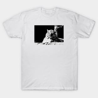 Year of the tiger 2022 / 2 / Swiss Artwork Photography T-Shirt